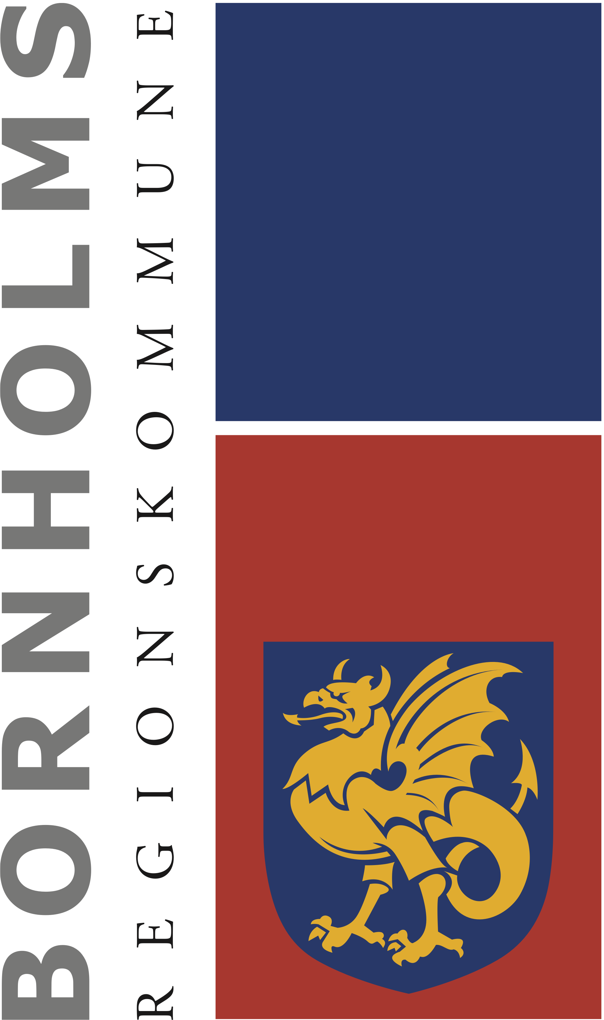 Bornholms Regionskommune logo
