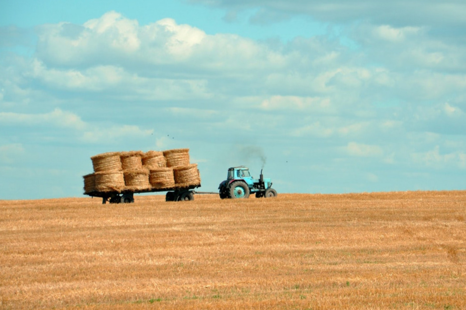 Nye retningslinjer for bæredygtige aftaler i landbrugssektoren