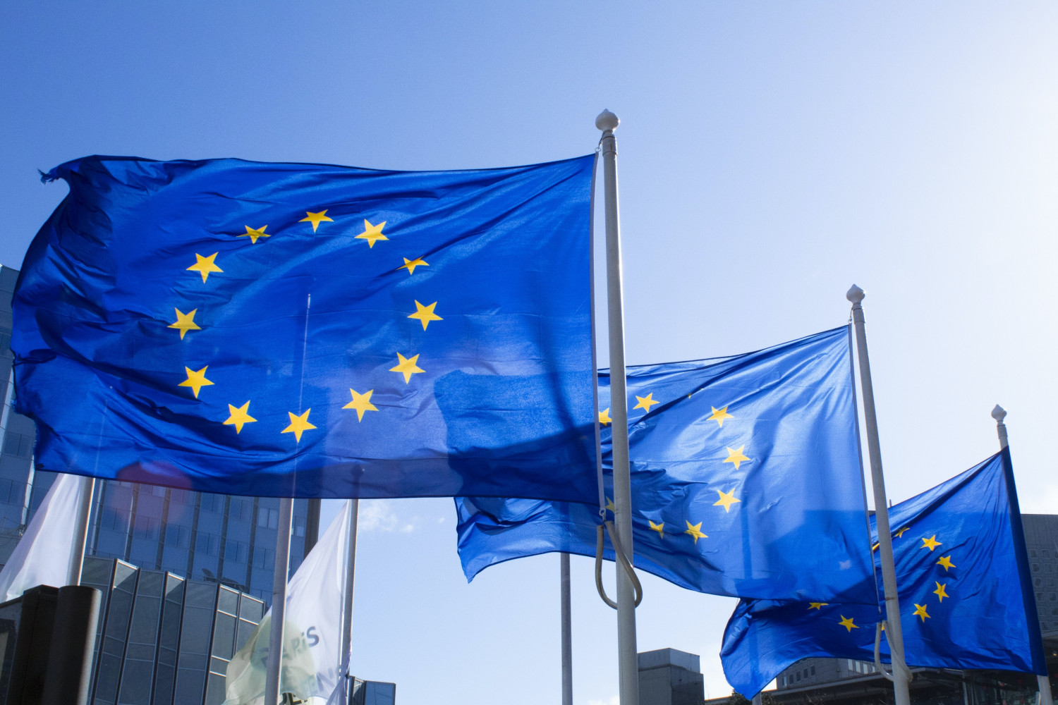 Del 6: Nye e-formularer til EU-udbud