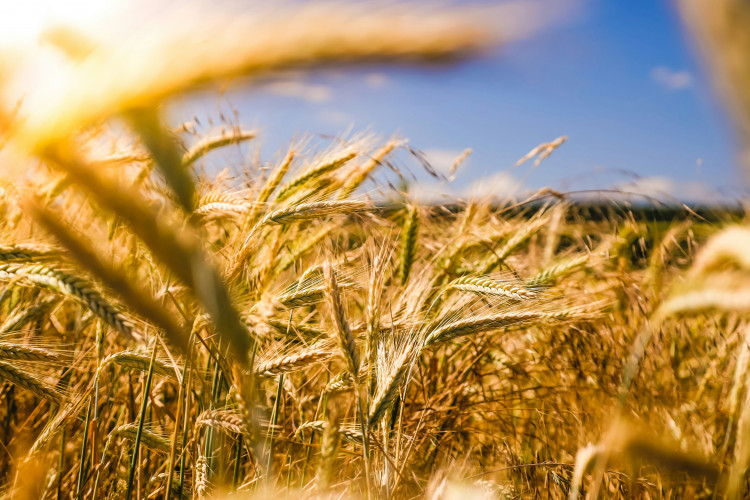 Retningslinjer for bæredygtige aftaler i landbrugssektoren vedtaget