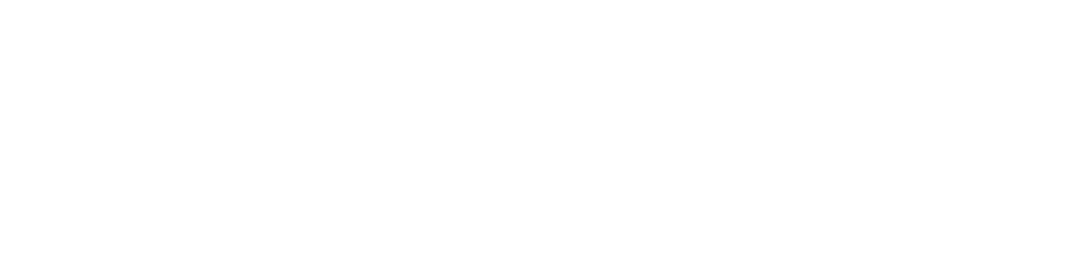 Styrelsen for Dataforsyning og Infrastruktur logo