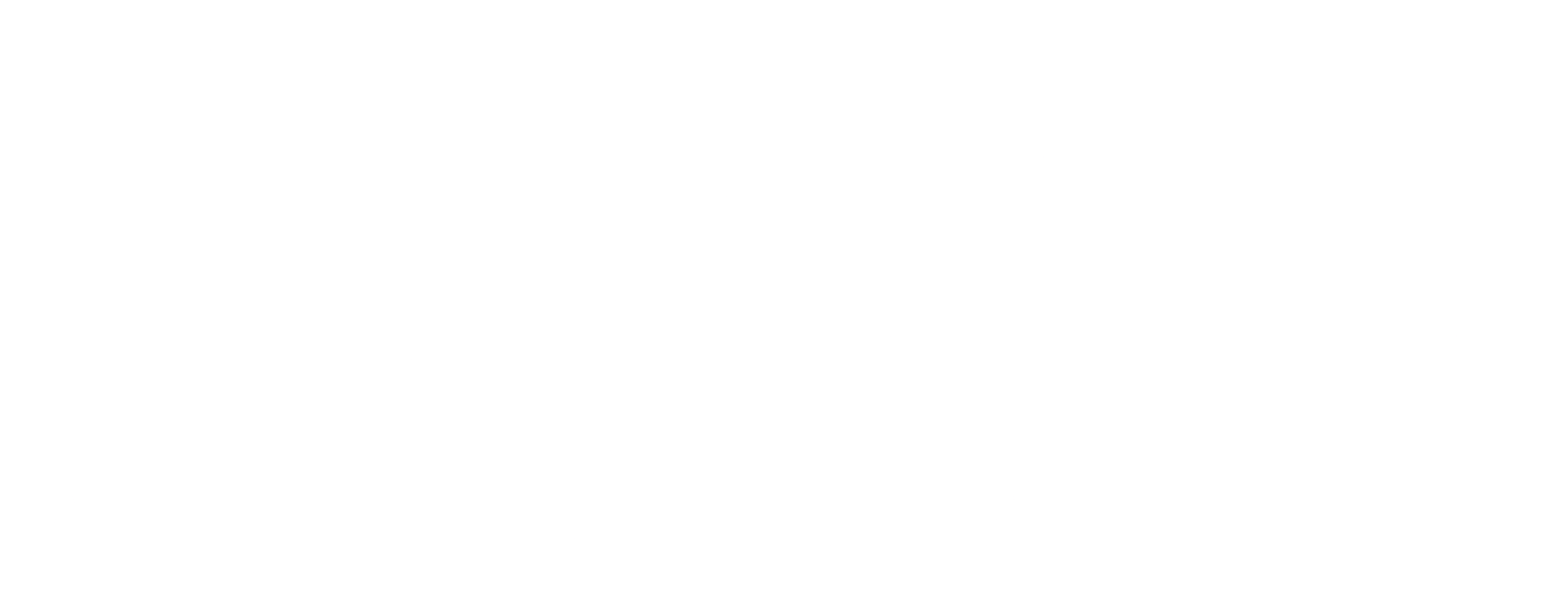 Focus Advokater logo