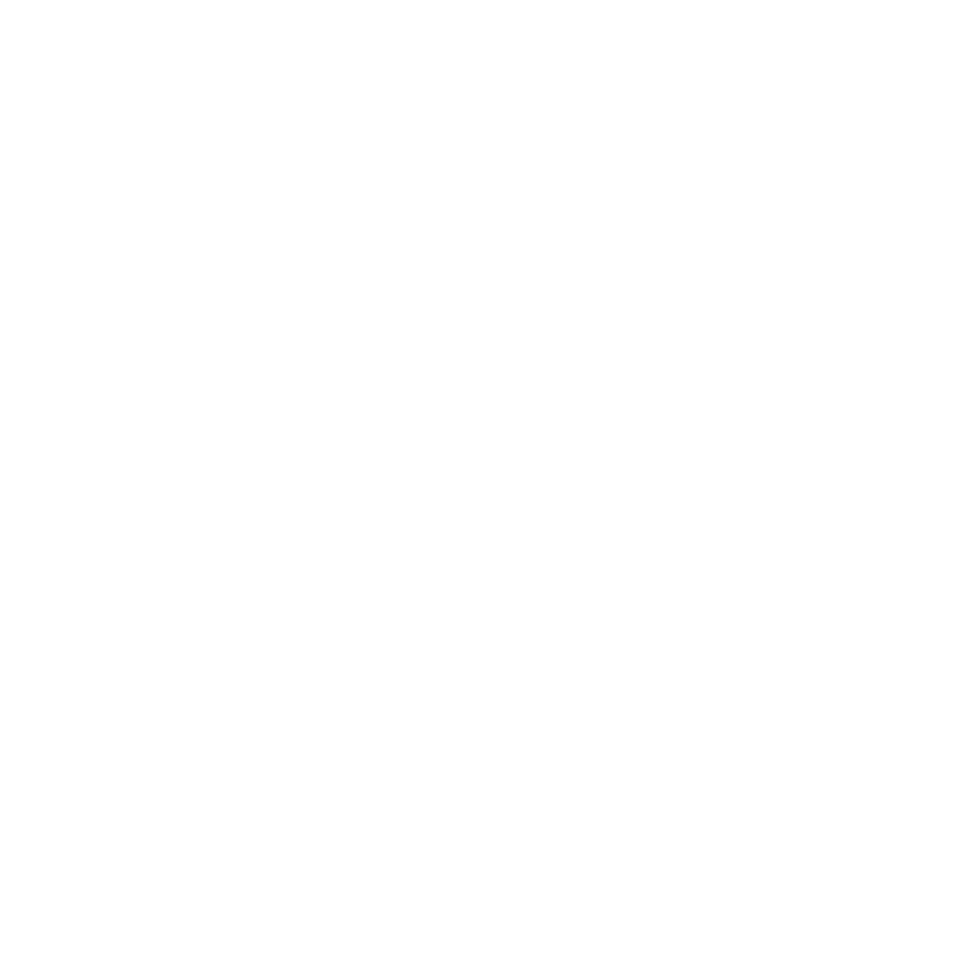 NP Advokater logo